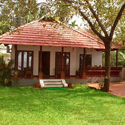 g1 image