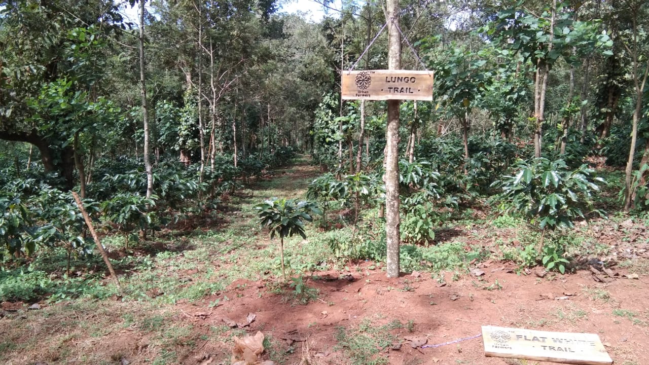 lungo trail