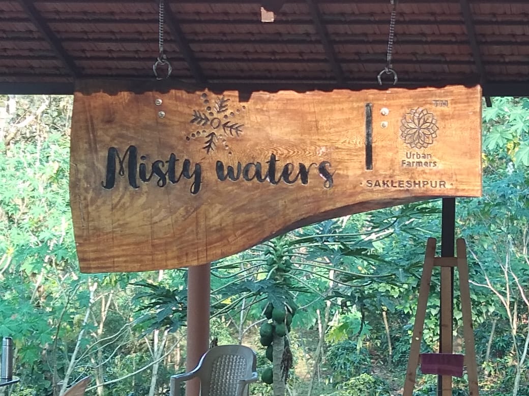 misty water